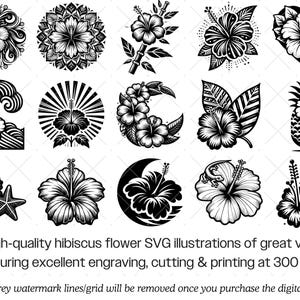 Hibiscus Flower SVG Bundle · Tropical Floral Clipart PNG · Cricut - Etsy