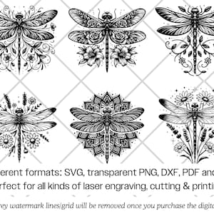 Dragonfly SVG Bundle · Floral Nature Boho Insect Clipart PNG · Cricut ...