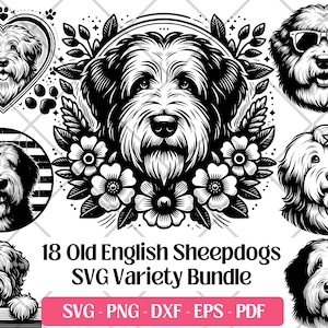 Vieux chien de berger anglais SVG Bundle, vecteur, PNG, DXF, Eps, fichiers de gravure laser de découpe Pdf, vieux chien de berger anglais Clipart sublimation de chien mignon