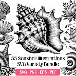 Puede incluir: Ilustraciones de conchas marinas en blanco y negro. La imagen presenta varios dibujos detallados de conchas marinas, incluyendo una almeja con una perla, una estrella de mar y varios diseños de conchas espirales y de caracola. El texto dice "55 Seashell Illustrations SVG Variety Bundle".