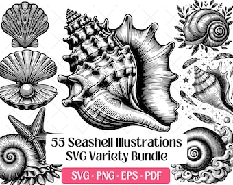 貝殻SVGバンドル · 航海ビーチオーシャンコンククリップアートPNG · Cricut