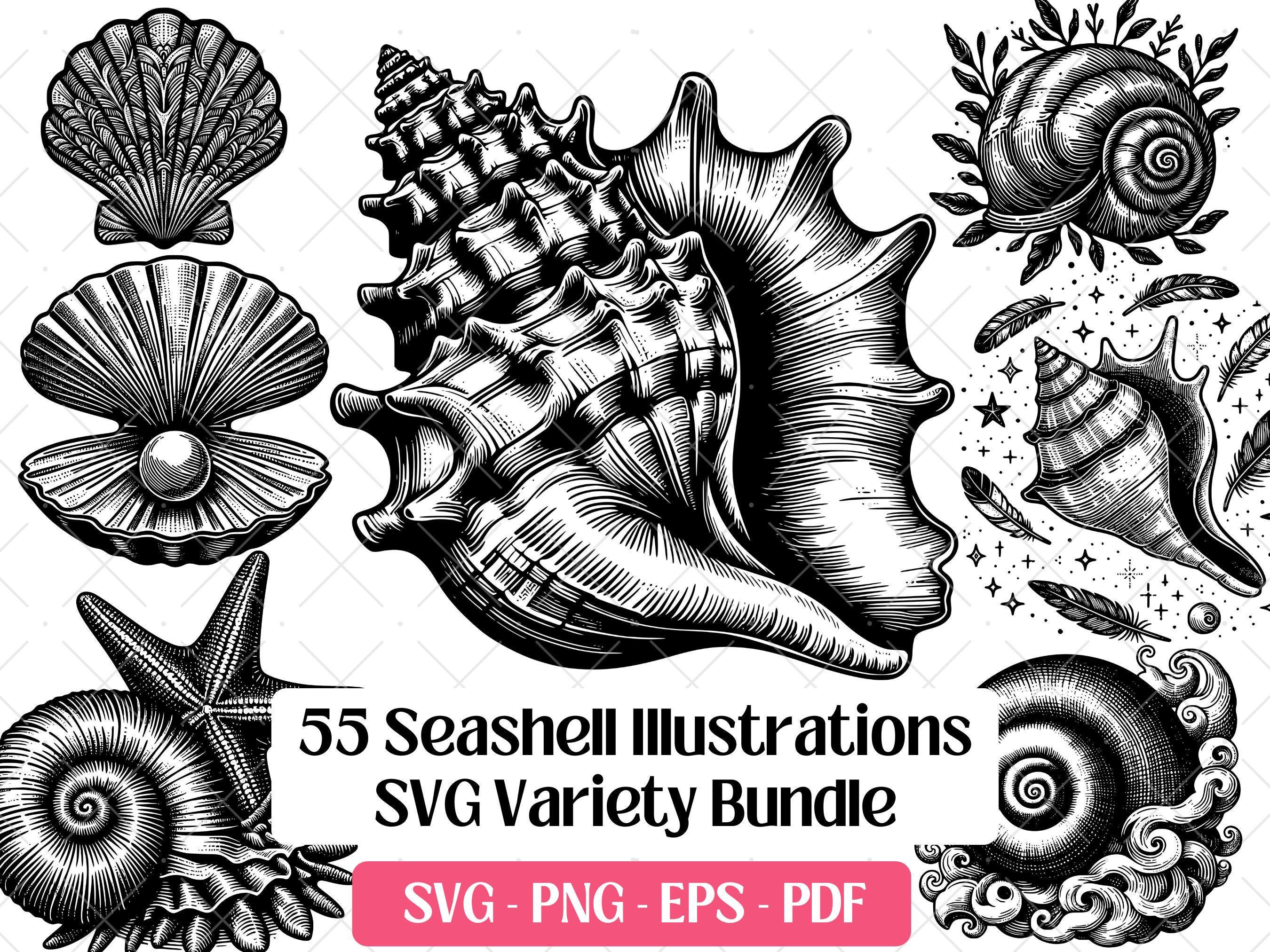 Seashell SVG Bundle · Nautical Beach Ocean Conch Clipart PNG · Cricut ...