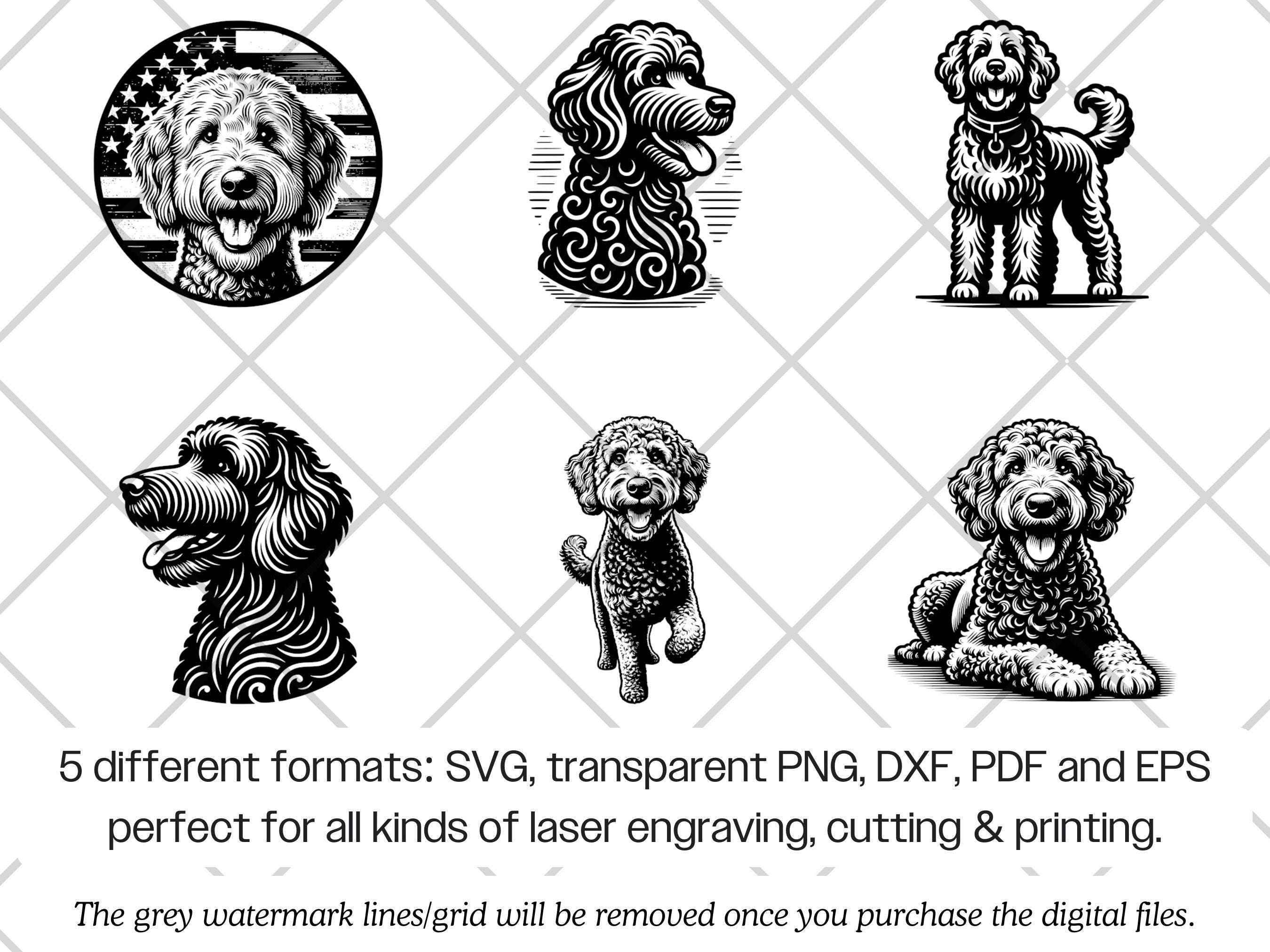Labradoodle SVG Bundle · Doodle Fluffy Dog Clipart PNG · Cricut Files ...