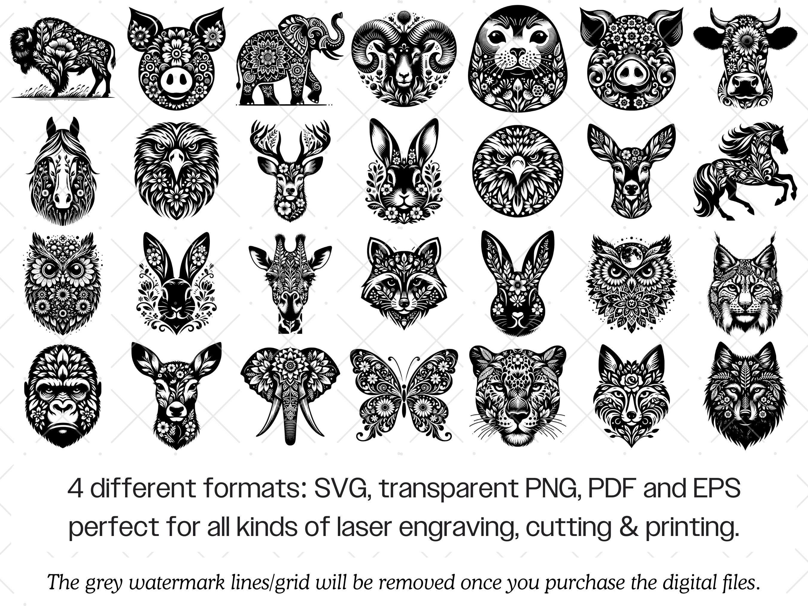 Floral Animal SVG Bundle · Flower Botanical Clipart PNG · Cricut Files ...
