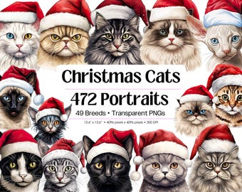 Christmas Cats PNG Bundle · Kitten Santa Hat Xmas Holiday Clipart