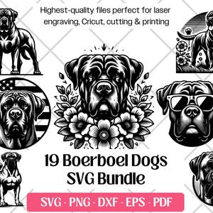 Boerboel SVG Bundle, süßer Hund Vektor, PNG, DXF, Eps, Pdf-Schneide- und Lasergravurdateien, Boerboel Clipart Hund Welpe Sublimationsdruck