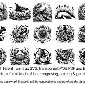 Ozean Tier SVG Bundle · Meereswelt Clipart PNG · Cricut Dateien Bild 8