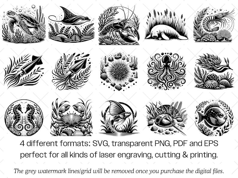 Ozean Tier SVG Bundle · Meereswelt Clipart PNG · Cricut Dateien Bild 8