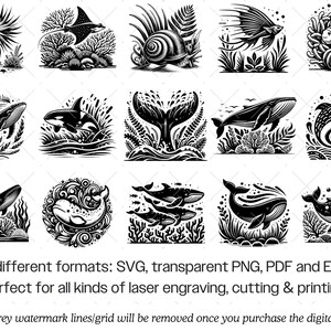 Ozean Tier SVG Bundle · Meereswelt Clipart PNG · Cricut Dateien Bild 9