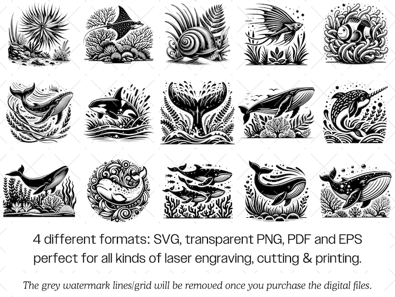 Ozean Tier SVG Bundle · Meereswelt Clipart PNG · Cricut Dateien Bild 9