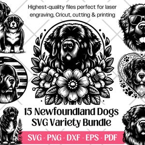 Newfoundland hond SVG-bundel, vector, png, dxf, eps, pdf, snijden en lasergravure-bestanden, schattige Newfoundland hond clipart sublimatie print