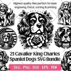 Paquete de imágenes prediseñadas de Cavalier King Charles Spaniel en SVG, PNG, DXF, EPS y PDF para corte y grabado láser.