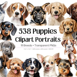 Puppy PNG Clipart Bundle, 538 Watercolor Cute Puppy Sublimation Designs • Dog Breeds PNG File • Digital Illustration • Puppy Portrait Prints