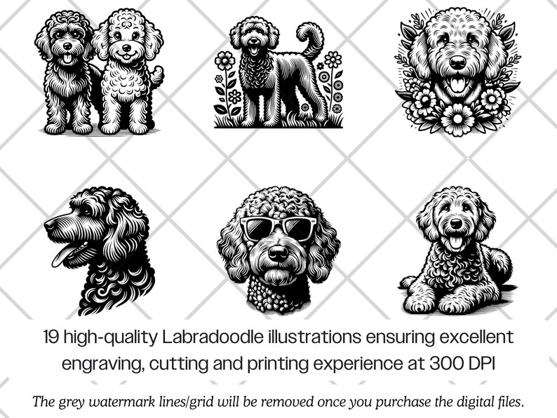 Labradoodle SVG Bundle · Doodle Fluffy Dog Clipart PNG · Cricut Files ...