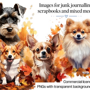 Dogs in the Fall 404 Dogs Clipart Bundle Watercolor Puppy and Dog PNG for Sublimation, 111 Breeds Dog Designs Digital Download Print Art Bild 4