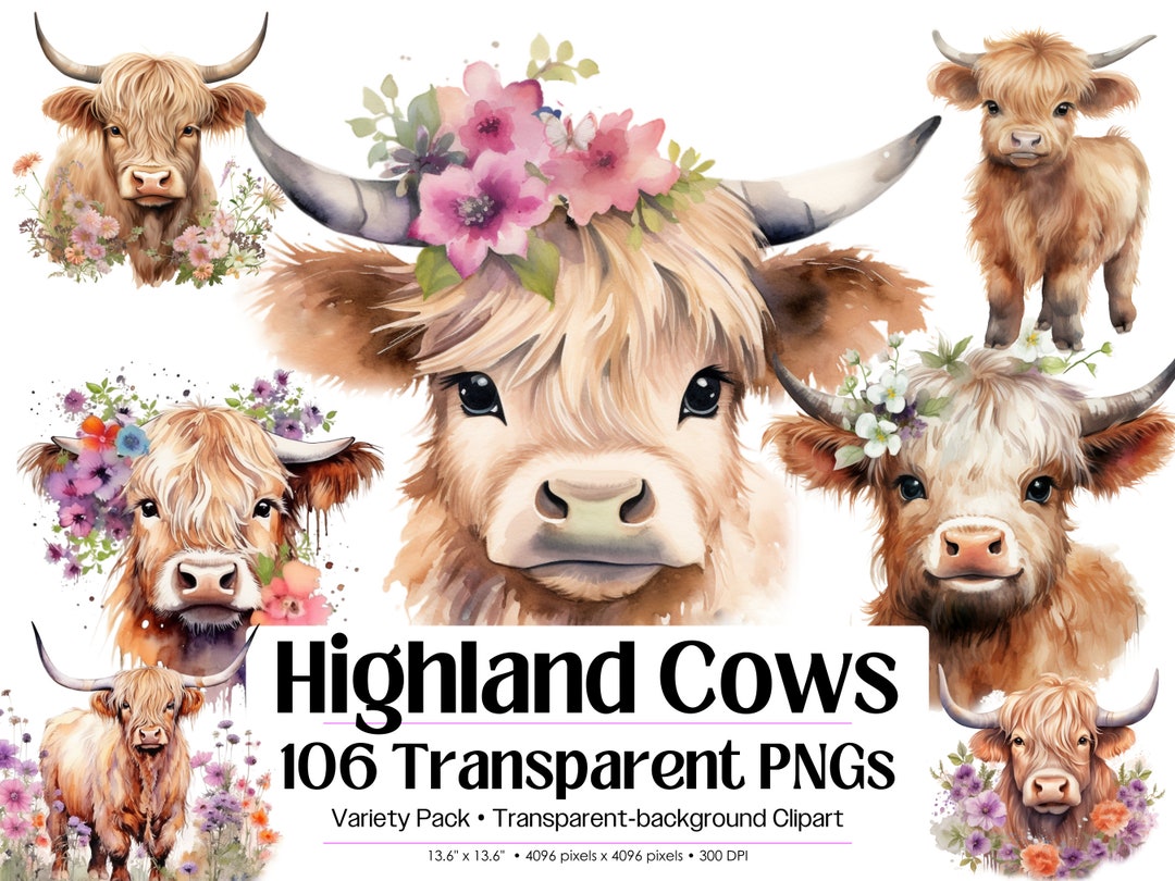 Highland Cow Watercolor Clipart PNG Bundle · Baby Farm Animal ...