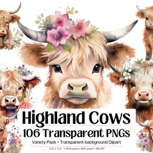 Highland Cow PNG Bundle • 106 Baby and Adult Highland Cow Clipart PNG Images  • Scottish Cow Watercolor Sublimation Files Digital Download