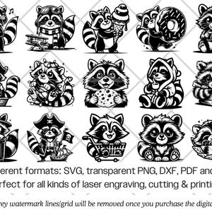 Raccoon SVG Bundle · Funny Baby Animal Clipart PNG · Cricut Files image 8