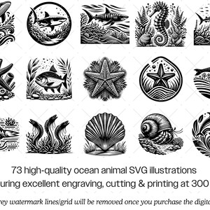 Ozean Tier SVG Bundle · Meereswelt Clipart PNG · Cricut Dateien Bild 3
