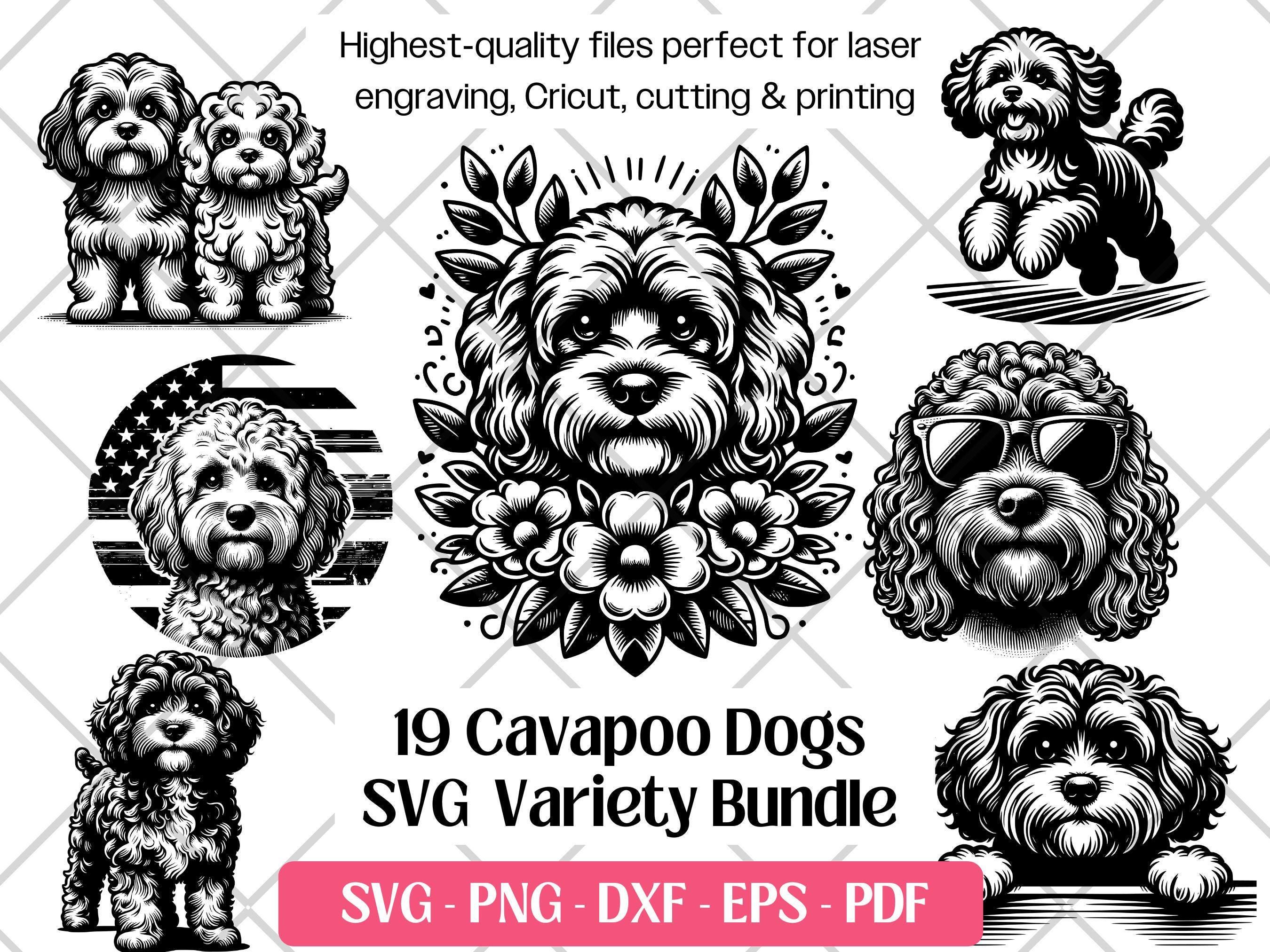 Cavapoo SVG Bundle · Doodle Fluffy Dog Clipart PNG · Cricut Files - Etsy