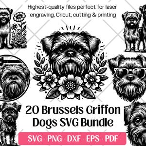 Pacchetto SVG di Griffone di Bruxelles, file vettoriali di cane carino, PNG, DXF, EPS, PDF per taglio e incisione laser, clipart di Griffone di Bruxelles per sublimazione