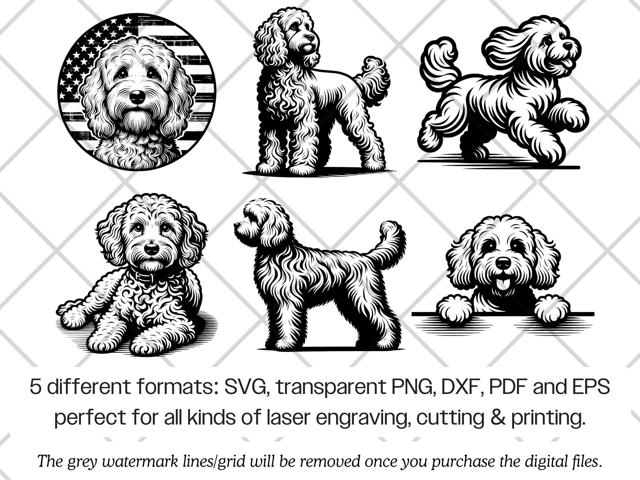 Cockapoo Cricut Cockapoo SVG Bundle · Doodle Funny Dog Clipart PNG · Cricut Files - Etsy UK