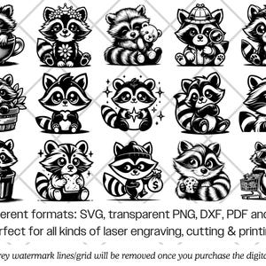 Raccoon SVG Bundle · Funny Baby Animal Clipart PNG · Cricut Files image 9