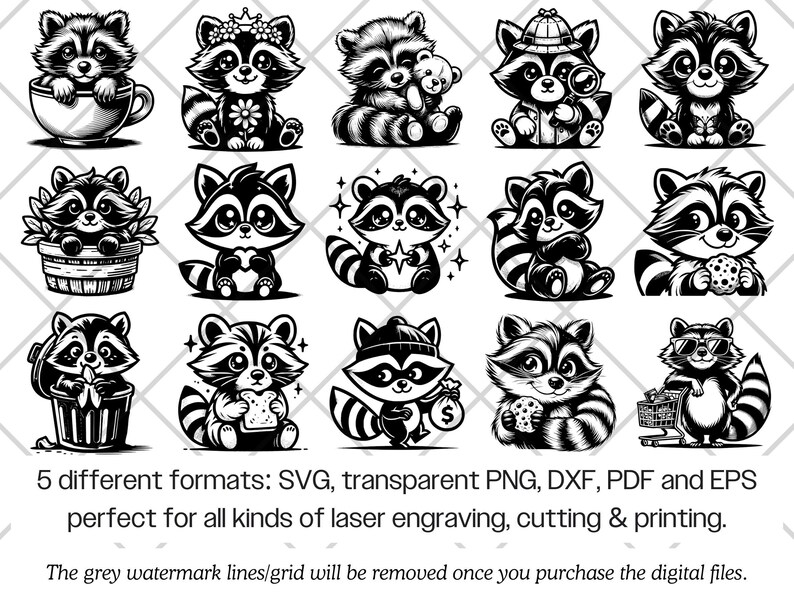 Raccoon SVG Bundle · Funny Baby Animal Clipart PNG · Cricut Files image 9