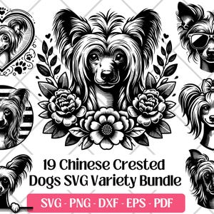 Chinesischer Schopfhund SVG Bundle, Vektor, PNG DXF, Eps, PDF-Schneide- und Lasergravurdateien, Chinesischer Schopfhund Clipart Niedlicher Hund Sublimation