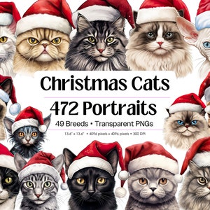Christmas Cats, 472 Santa Cats and Kittens PNG Clipart Bundle • 49 Breeds • Digital Download Portraits Cat Breed Sublimation Prints Pack