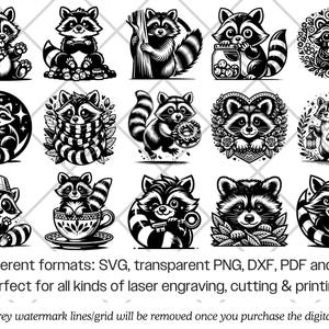 Raccoon SVG Bundle · Funny Baby Animal Clipart PNG · Cricut Files image 7