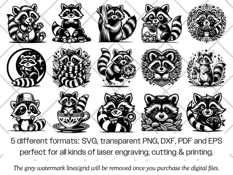 Raccoon SVG Bundle · Funny Baby Animal Clipart PNG · Cricut Files image 7
