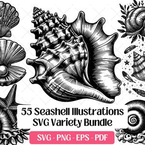 Puede incluir: Ilustraciones en blanco y negro de conchas marinas de diversas formas y tamaños, incluyendo una almeja con una perla, una estrella de mar y varias conchas en espiral. Incluye el texto "55 Seashell Illustrations SVG Variety Bundle".