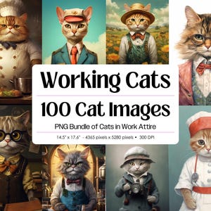 Könnte beinhalten: Ein digitales Kunstpaket mit 100 Bildern von Katzen in Arbeitskleidung. Die Katzen werden in Berufen wie Koch, Soldat und Fotograf dargestellt. Der Text "Working Cats" und "100 Cat Images" ist zu sehen. Die Bildmaße sind 14,5" x 17,6".