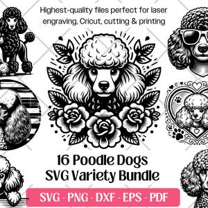 Poedel SVG-bundel, vector, png, dxf, eps, pdf, snijden en lasergravure-bestanden, schattige poedel Caniche clipart hond puppy sublimatie print