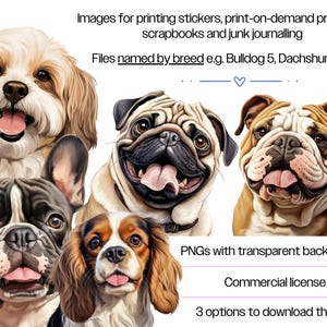 Dog Clipart Bundle · Puppy Breed Canine Clipart PNG · Cricut Files bild 6