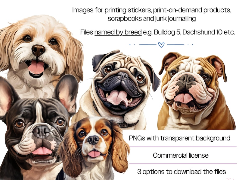 Dog Clipart Bundle · Puppy Breed Canine Clipart PNG · Cricut Files bild 6