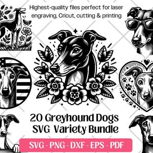 Lévrier SVG Bundle, vecteur, PNG, Dxf, Eps, Pdf, fichiers de découpe et de gravure laser, fichiers d'impression par sublimation des cliparts chiot lévrier mignon