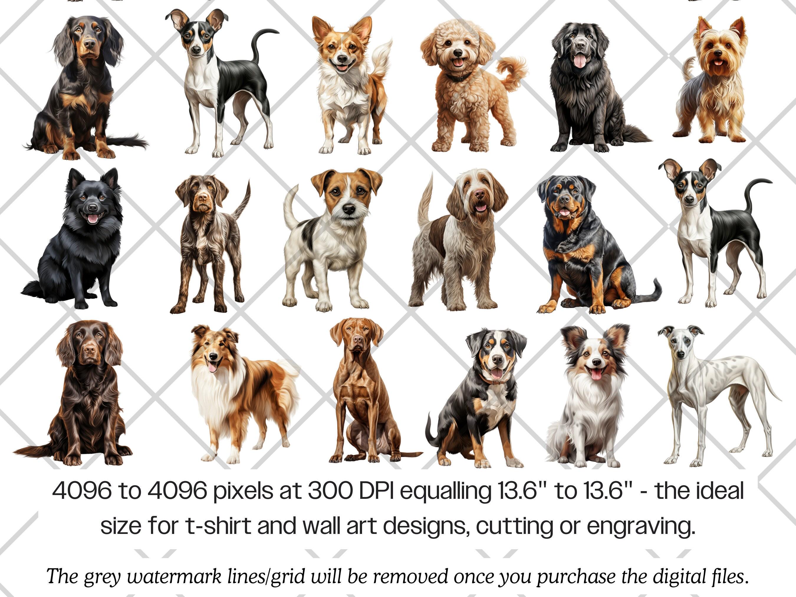 Dog Breeds Watercolor PNG Bundle · Puppy Canine Sublimation Clipart - Etsy