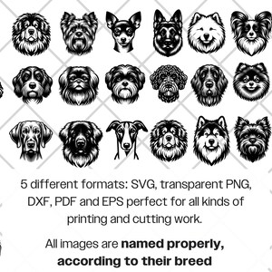 Dog Portraits SVG Bundle · Puppy Head Breeds Clipart PNG · Cricut - Etsy