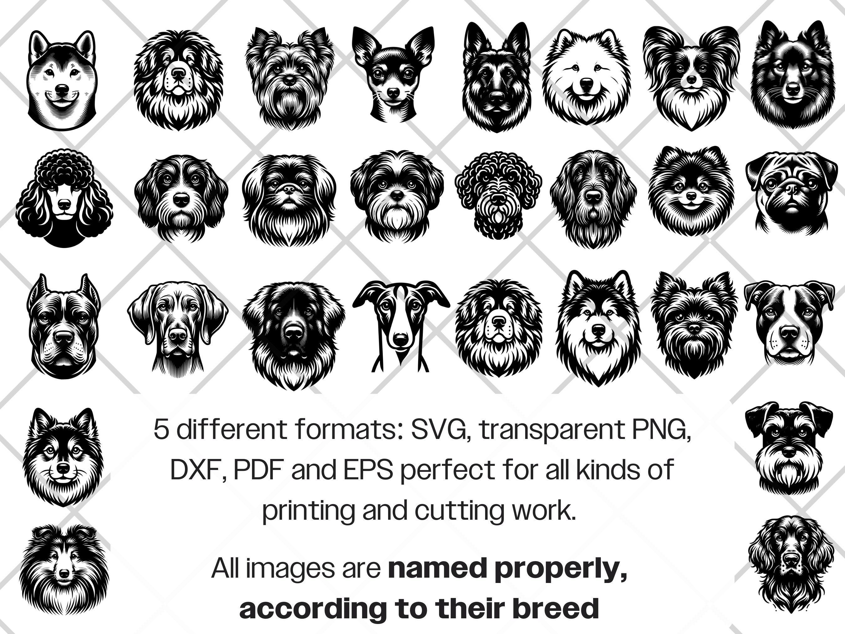 Dog Portraits SVG Bundle · Puppy Head Breeds Clipart PNG · Cricut - Etsy UK