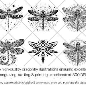 Dragonfly SVG Bundle · Floral Nature Boho Insect Clipart PNG · Cricut ...