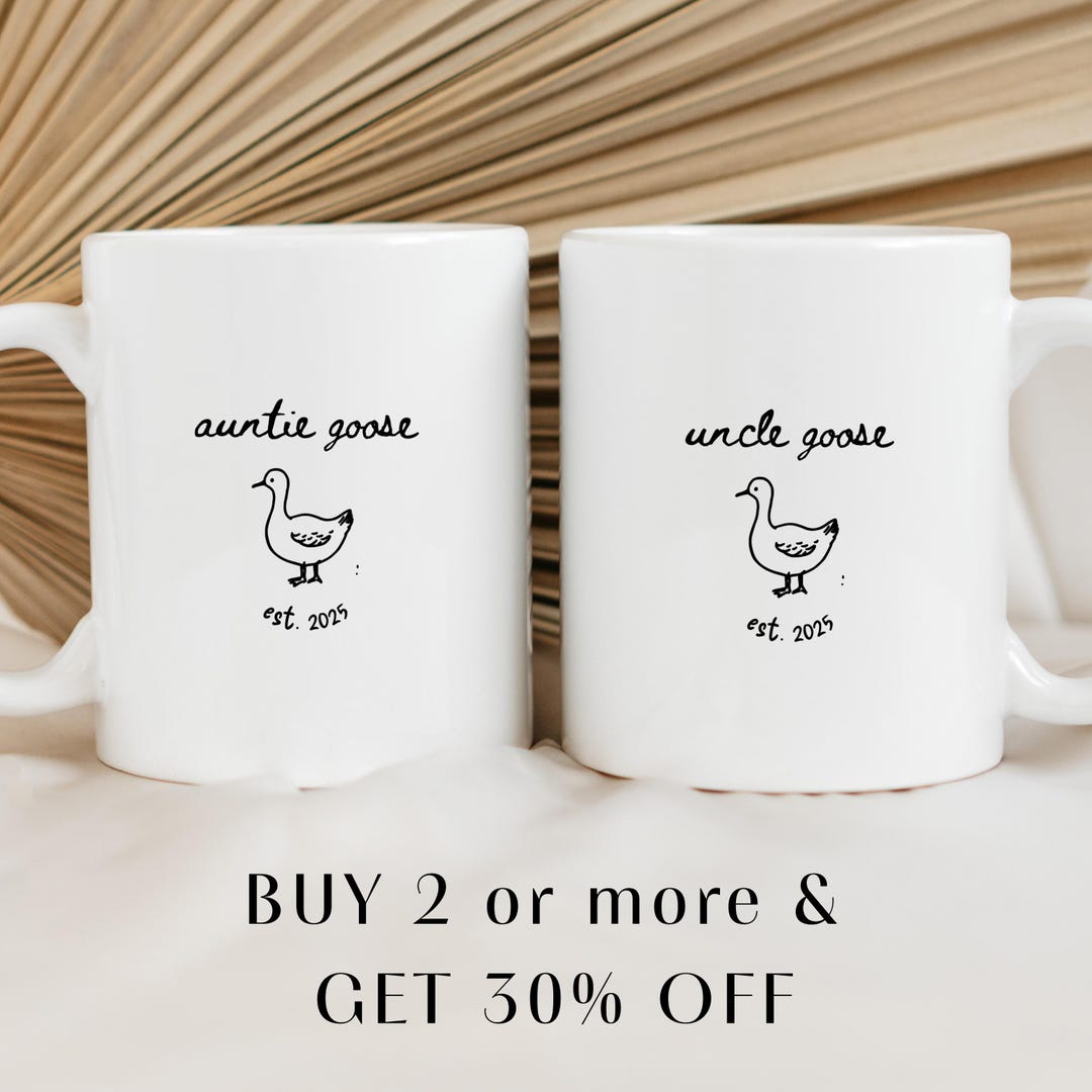 Custom Pregnancy Reveal Mug for New Aunt and New Uncle: Silly Goose ...