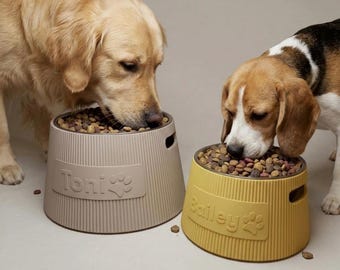 Personalized elevated dog bowl with name – ergonomic feeding bowl – non-slip – Custom Dog Bowl Elevated – individual & modern