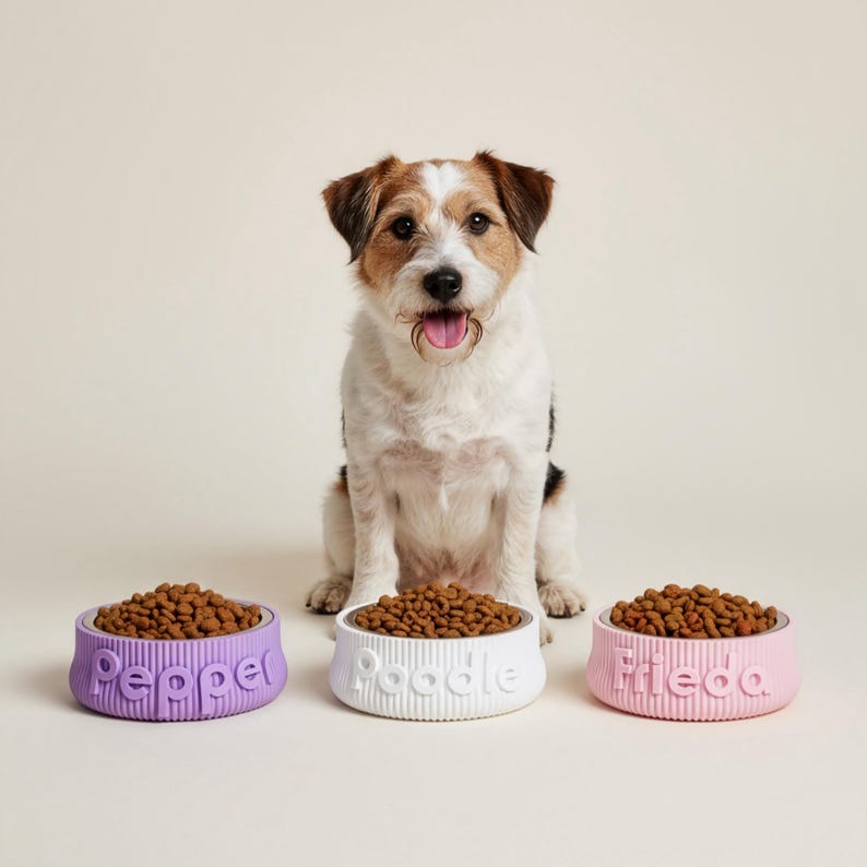 May include: A Jack Russell Terrier sits behind three dog food bowls. The bowls are filled with brown kibble and are in lavender, white, and pink. The bowls are labeled "Pepper", "Poodle", and "Frieda".