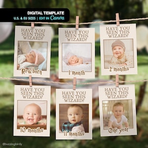 Have you seen this wizard? First Birthday Monthly Photo Banner (Editable Template)
