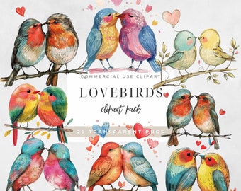 Love Birds Clipart Png Valentine Watercolor Clipart Png Couple Birds Love Romantic Clipart Woodland Animals Heart Love PNG