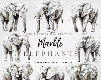 Skurril, Elefant Clipart, Elefant Clip Art, Kinderzimmer Wand Kunst Safari Tiere Png Boho Safari Clipart Safari Tier Png Dschungel Tier Png