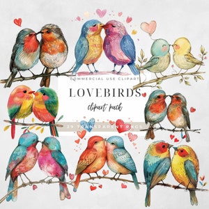 Amor Pássaros Clipart Png Namorados Aquarela Clipart Png Casal Pássaros Amor Romântico Animais Da Floresta Coração Amor PNG