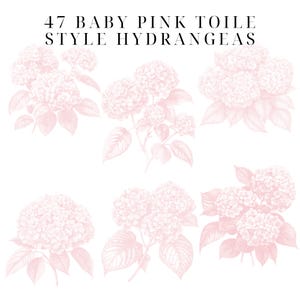 May include: A digital illustration of six pink hydrangeas in a toile style. The text "47 BABY PINK TOILE STYLE HYDRANGEAS" is at the top of the image.